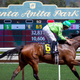 Image for article titled Santa Anita Park Officials Announce They Will Stop Allowing Bets On All Upcoming Horse Deaths